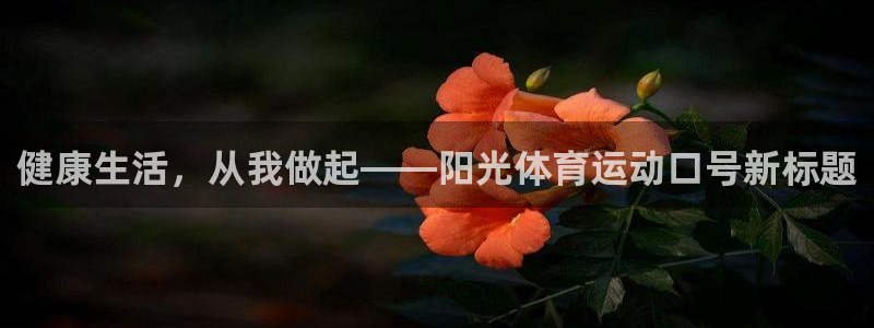 风暴体育下载安装：健康生活，从我做起——阳光体育运动口号新标题
