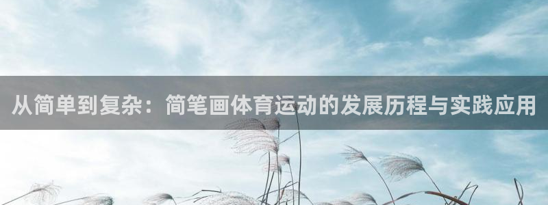 风暴体育直播：从简单到复杂：简笔画体育运动的发展历程与实践应用