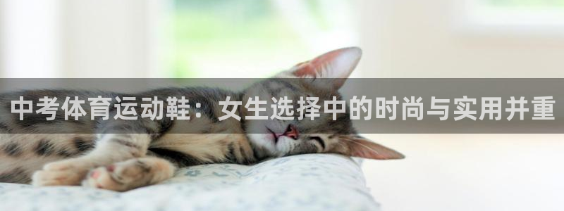 风暴体育下载app：中考体育运动鞋：女生选择中的时尚与实用并重