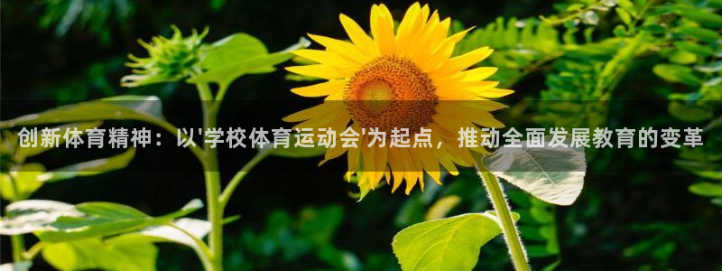 风暴体育入口：创新体育精神：以\'学校体育运动会\'为起点，推动全面发展教育的变革